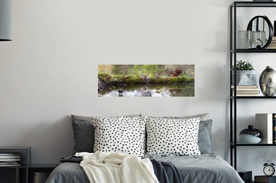 Sticker Muursticker Forest life - Animaux de la forêt près de la piscine - 90x30 cm - film autocollant - sticker mural repositionnable