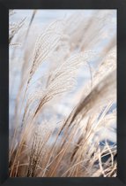 JUNIQE - Poster in houten lijst Grass 5 -40x60 /Bruin & Wit