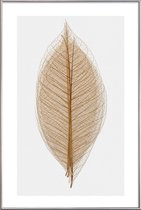 JUNIQE - Poster met kunststof lijst Skeleton of a Leaf II -20x30