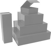 Magneetdozen 42.5x33.3x9.7cm Zilver (25 st.)