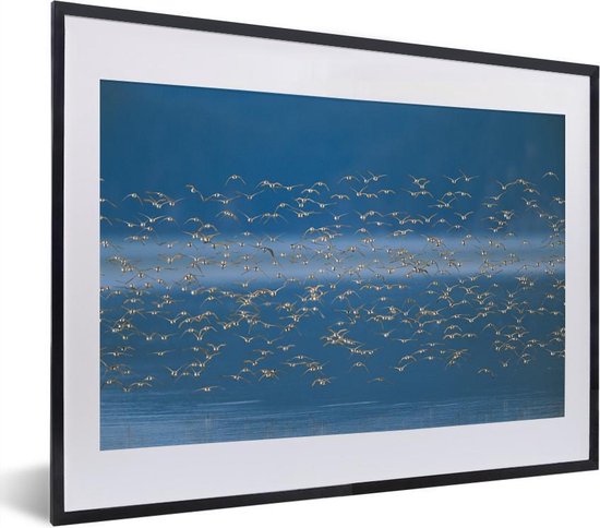 Fotolijst incl. Poster - Een grote groep van Alaskastrandlopers in de blauwe lucht - 40x30 cm - Posterlijst