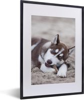 Cadre photo avec affiche - Chiot Husky sur la plage - 30x40 cm - Cadre pour affiche