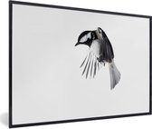 Fotolijst incl. Poster - Vogel - Veren - Zwart - Wit - 90x60 cm - Posterlijst
