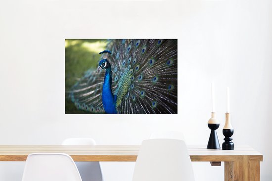 Poster Paon vert avec belle fourrure de plumes 90x60 cm - Tirage photo sur Poster (décoration murale salon / chambre)