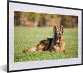 Fotolijst incl. Poster - Duitse herdershond ligt op het gras - 40x30 cm - Posterlijst