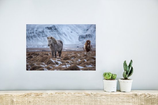 Affiche Islande - Paarden - Neige - 30x20 cm