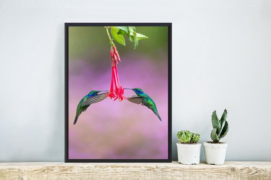 Fotolijst incl. Poster - Vogel - Kolibrie - Blauw - Rood - 20x30 cm - Posterlijst