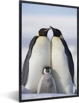 Fotolijst incl. Poster - Pinguïn - Gezin - Sneeuw - 40x60 cm - Posterlijst