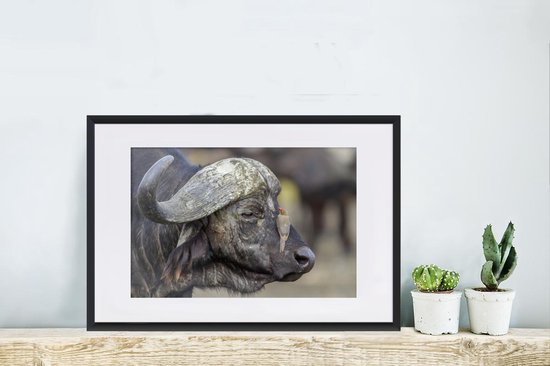 Photo encadrée - Pic à bec rouge sur cadre photo buffle noir avec passe-partout blanc 40x60 60x40 cm - Affiche encadrée (Décoration murale salon / chambre)