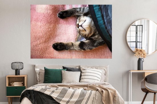 Chat qui dort sur un tapis 180x120 cm XXL / Groot format!