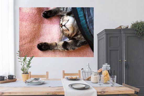 Chat qui dort sur un tapis 180x120 cm XXL / Groot format!