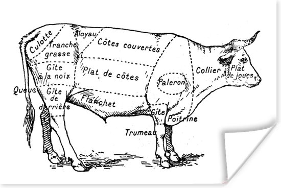Poster Antieke illustratie met het slagersdiagram van een rund - 30x20 cm