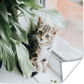 Jonge kat op vensterbank poster papier 40x30 cm - klein - Foto print op Poster (wanddecoratie woonkamer / slaapkamer) / Huisdieren Poster