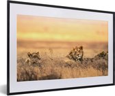 Photo encadrée - Lion et lionne couchés dans l'herbe cadre photo noir avec passe partout blanc 40x60 60x40 cm - Affiche encadrée (Décoration murale salon / chambre)