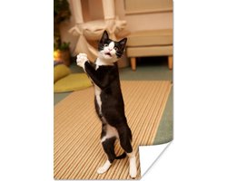 Tailanddan porno videolar