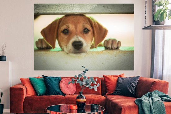 Poster Puppy regarde à travers une cage 180x120 cm - Tirage photo sur Poster (décoration murale salon / chambre) / Poster Animaux domestiques XXL / Groot format!