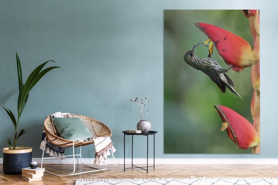 Le colibri à bec crochu à la fleur d'heliconia pogonantha au Costa Rica Toile 120x180 cm - Tirage photo sur Toile (Décoration murale salon / chambre) XXL / Groot format!