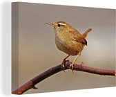 Wren sur une branche brune Toile 140x90 cm - Tirage photo sur toile (Décoration murale salon / chambre)