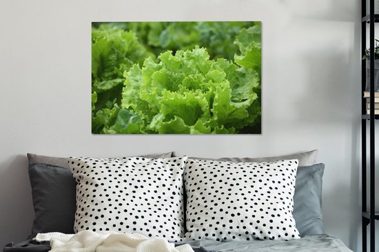 Gros plan d'une tête de laitue Toile 60x40 cm - Tirage photo sur toile (Décoration murale salon / chambre)