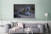 Canvas schilderij 140x90 cm - Wanddecoratie Hyena - Welp - Rots - Muurdecoratie woonkamer - Slaapkamer decoratie - Kamer accessoires - Schilderijen