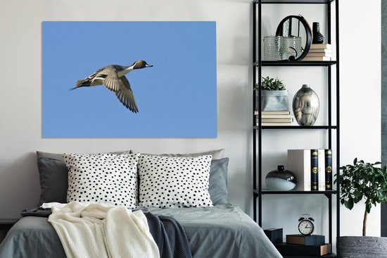 Canard pilet en vol sur toile 120x80 cm - Tirage photo sur toile (Décoration murale salon / chambre)