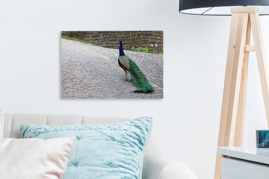 Paon marche dans une rue Toile 30x20 cm - petit - Tirage photo sur toile (Décoration murale salon / chambre)
