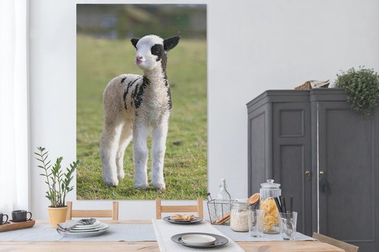 Petite toile blanche avec agneau noir dans l'herbe 120x180 cm - Tirage photo sur toile (Décoration murale salon / chambre) / Animaux de la ferme Peintures sur toile XXL / Grand format!