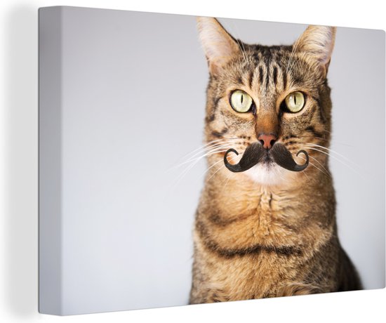 Canvas Schilderij Kat - Snor - Hipster - 60x40 cm - Wanddecoratie