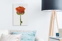 PDP.ProductImage.Thumb.Image.srtText 7