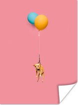 Poster Vliegende hond aan twee ballonnen - 60x80 cm