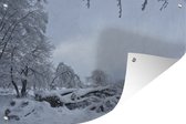 Tuinposter - Tuindoek - Tuinposters buiten - Een winters landschap in de bergen van de Ardennen - 120x80 cm - Tuin