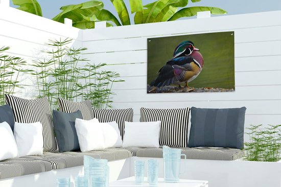 Un canard de Caroline au bord d'un étang Affiche de jardin 60x40 cm - petit - Toile de jardin / Toile d'extérieur / Peintures pour l'extérieur (décoration de jardin)