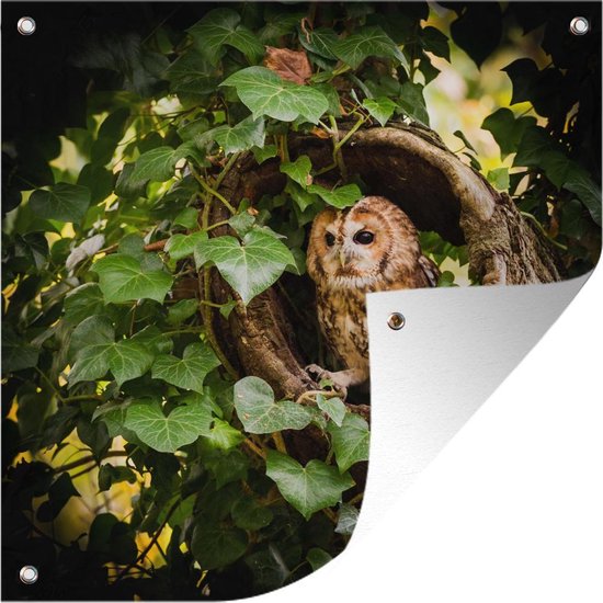 Affiche de jardin Un hibou fauve dans un tronc d'arbre 100x100 cm - Toile de jardin / Toile d'extérieur / Peintures d'extérieur (décoration de jardin)