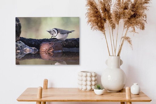 Canvas Schilderij Een Kuifmees zit op een boomstam - 40x30 cm - Wanddecoratie