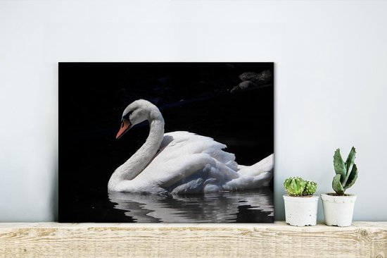 Gracieuse toile cygne blanc 2cm