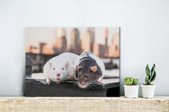 Peintures sur toile - Deux rats sur le quai - 40x30 cm - Décoration murale