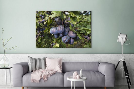 Arbres avec un bouquet de prunes accroché sur toile 2cm 120x80 cm - Tirage photo sur toile (Décoration murale salon / chambre)