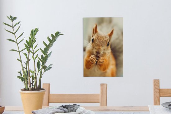 Peintures sur toile - Écureuil de près - 20x30 cm - Décoration murale