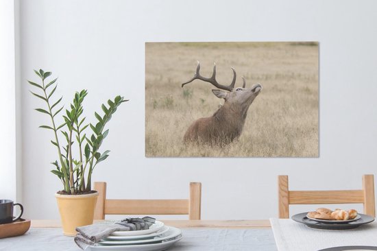 Cerf avec la tête en l'air toile 2cm 60x40 cm - Tirage photo sur toile peinture (Décoration murale salon / chambre) / animaux sauvages Peintures sur toile