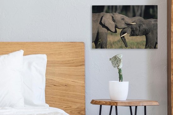 Toile d'éléphants gambadeurs 2cm 30x20 cm - petit - Tirage photo sur toile (Décoration murale salon / chambre) / animaux sauvages Peintures sur toile