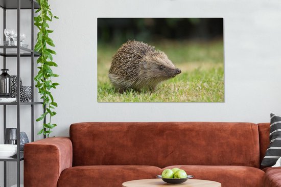 Hérisson dans le jardin toile 2cm 140x90 cm - impression photo sur toile peinture Décoration murale salon / chambre à coucher) / Animaux sauvages Peintures Toile