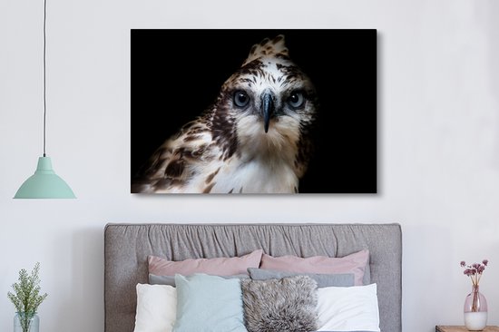 Tête d'oiseau de rapace 180x120 cm - Tirage photo sur toile (Décoration murale salon / chambre) XXL / Groot format!