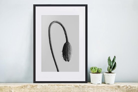Photo dans le cadre - Cadre photo abstrait plant suspendue noir avec passe-partout blanc 40x60 40x60 cm - Affiche sous cadre (Décoration murale salon / chambre)