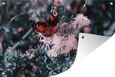 Tuinposter - Tuindoek - Tuinposters buiten - Dagpauwoog vlinder op roze bloemen - 120x80 cm - Tuin