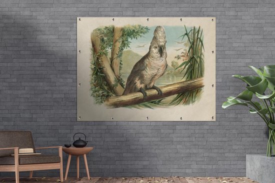 Décoration murale extérieure Cacatoès blanc imprimé oiseau antique - 160x120 cm - Toile de jardin - Poster extérieur