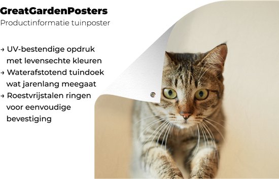 Décoration murale Chat sautant dans les airs - 120x180 cm - Affiche jardin