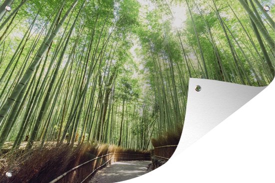 Bamboo Grove in Arashiyama Japan Garden poster 90x60 cm - Toile de jardin / Toile d'extérieur / Peintures pour l'extérieur (décoration de jardin)