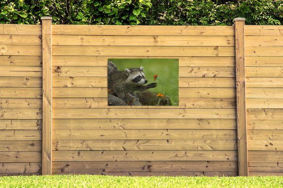 Posters de jardin extérieur Raton laveur - Fleurs - Oranje - 90x60 cm - Toile de jardin - Affiche extérieure