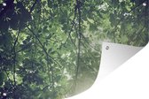 Tuindecoratie Takken in het zonlicht - 60x40 cm - Tuinposter - Tuindoek - Buitenposter