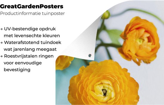 Posters de jardin Fleurs - Extérieur - Oranje - 60x90 cm